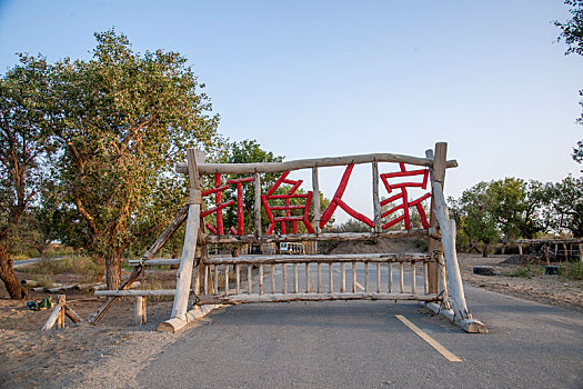 dự đoan xo so miền bac