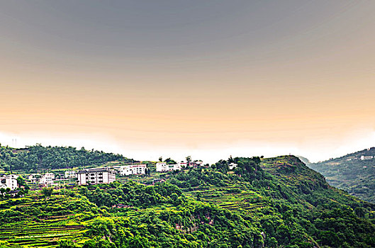 bạch thủ đề chuẩn