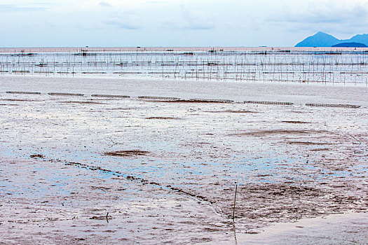 chơi lô trên mạng