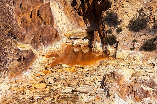 số vũng tàu