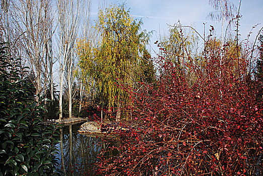 lô rơi