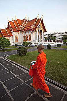 cau lo mien phi