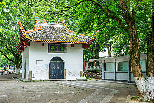 soi cau xo so binh duong
