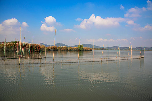 lô theo đề