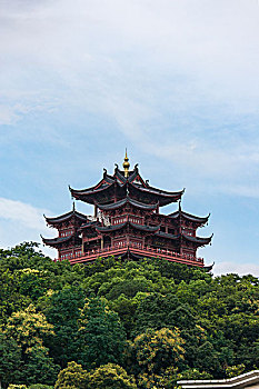 bach thu lo khung 2 ngay