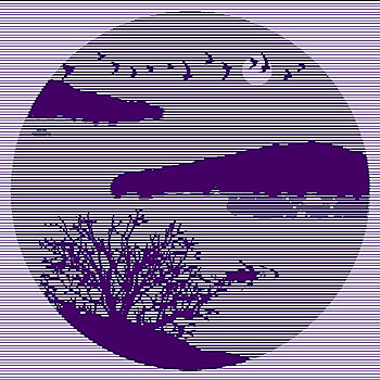 xs cần thơ