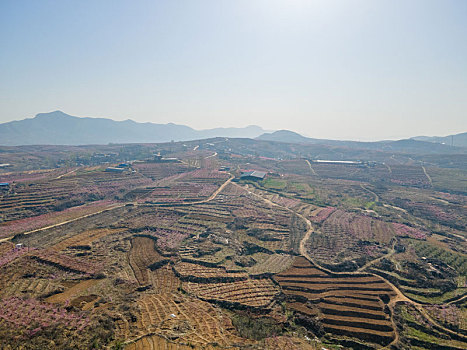 thống kê xổ số sóc trăng
