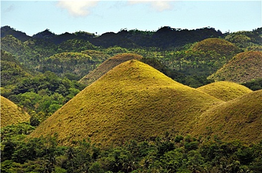 soi cau binh dinh