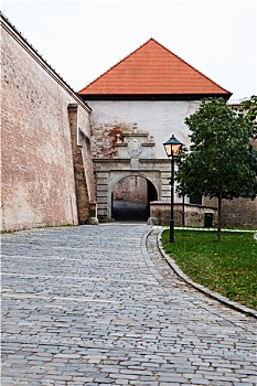 cau bach thu mien bac
