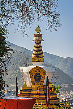 soi gio vang