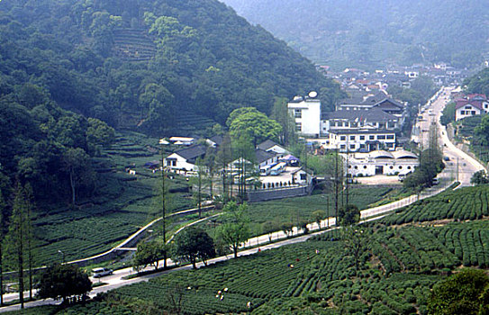cau mb 8585