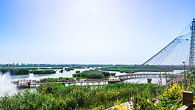 cầu lô chay
