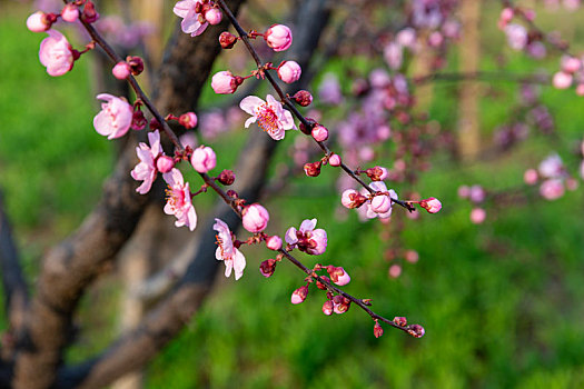 cầu lô bạch thủ hôm nay