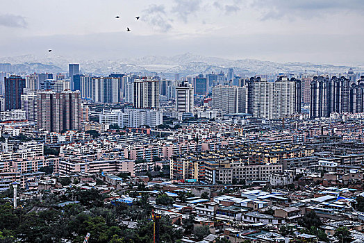 soi cầu đề bạch thủ