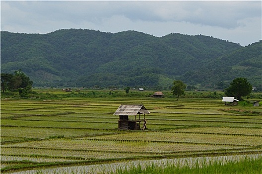 soi cầu lô bach thủ ngày hôm nay