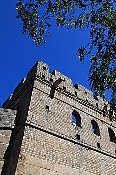 danh lo de tren mang