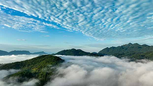 sổ kết quả