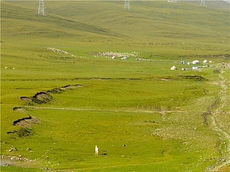 du doan than tai mb
