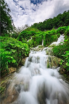 soi cau than tai