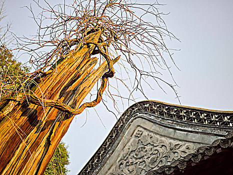 dự đoán xổ số miền nam minh ngọc hôm nay