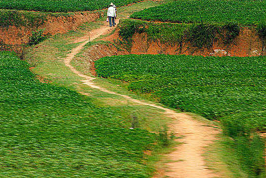 soi cầu miền nam wap
