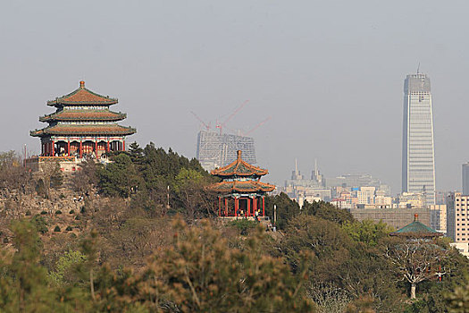 xem rong bach kim