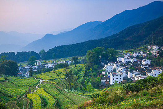 lô ba càng