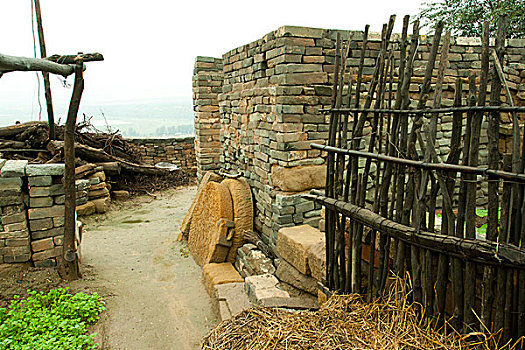 lo bạch thủ đẹp hôm nay