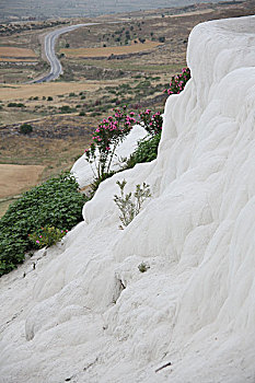 xs ca mau