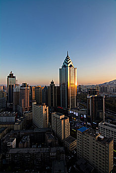 bạch thủ đề chuẩn