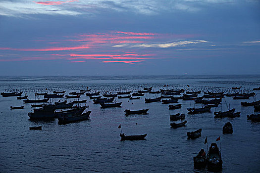 soi cau bach thu