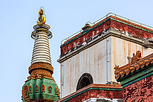 xs hau giang