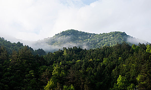 kqxs vinh lông