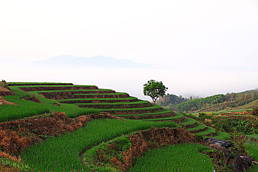 thông kê giải đặc biệt