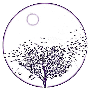 xố