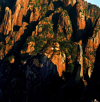 du doan bach thu
