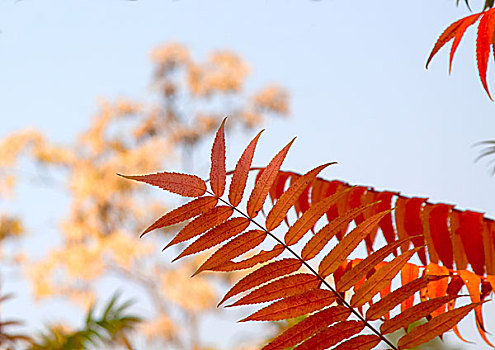 xsmn thứ 5
