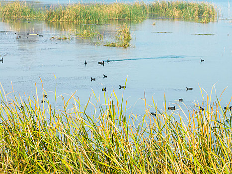 số tây ninh