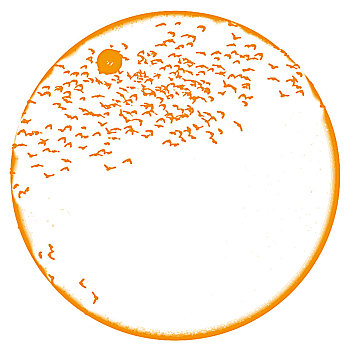 xsmn 7