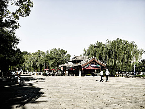 cau lo rong bach kim