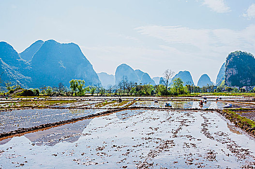 soi cầu đề chuẩn