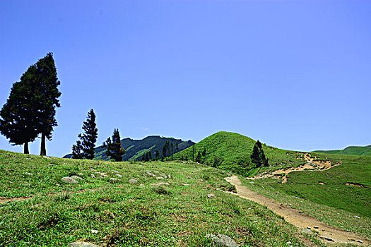 soi cầu an thông