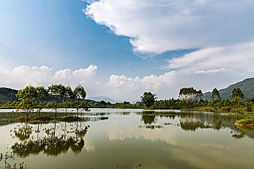 soi cau hau giang