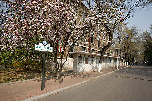 meo danh de mien nam