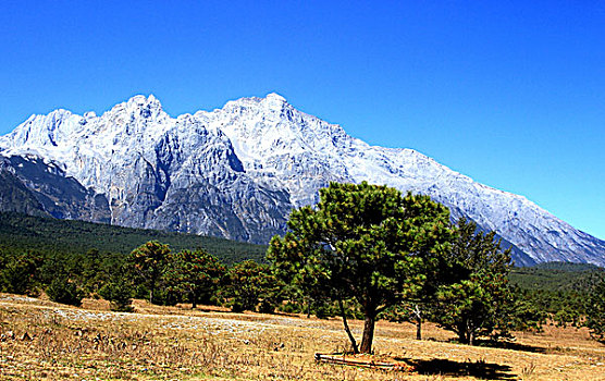 xổ số thứ 7