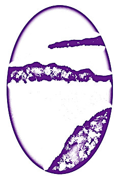 xổ sô hôm nay