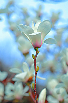 tra cứu xổ số