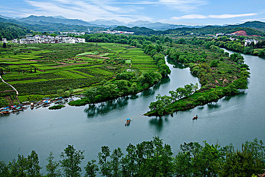 xsmb rong bạch kim