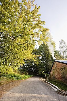 soi câu rong bach kim