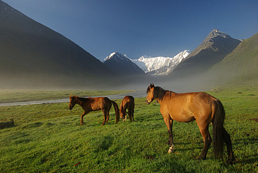 du doan xo so rong bach kim